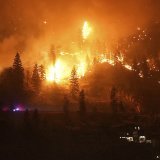 Le Canada connaît cette année une saison des feux de forêt qui bat tous les records.